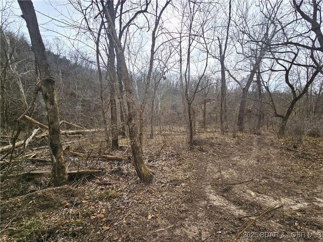 115 Hacksaw Ln, Camdenton, MO 65020 - view of woods