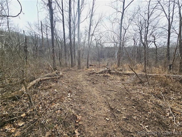 115 Hacksaw Ln, Camdenton, MO 65020 - view of wooded area