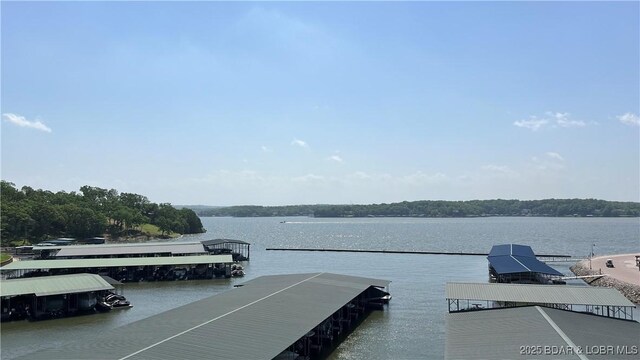 18130 Millstone Cove Rd Unit 447, Gravois Mills, MO 65037 - dock area with a water view