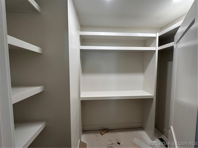 view of spacious closet