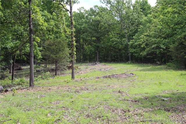 Whitetail Dream Ln, Montreal, MO 65591