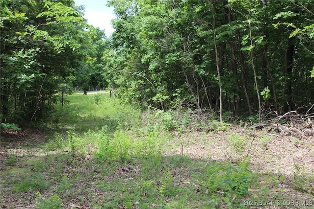 Whitetail Dream Ln, Montreal, MO 65591