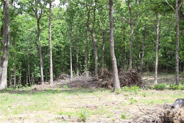 Whitetail Dream Ln, Montreal, MO 65591
