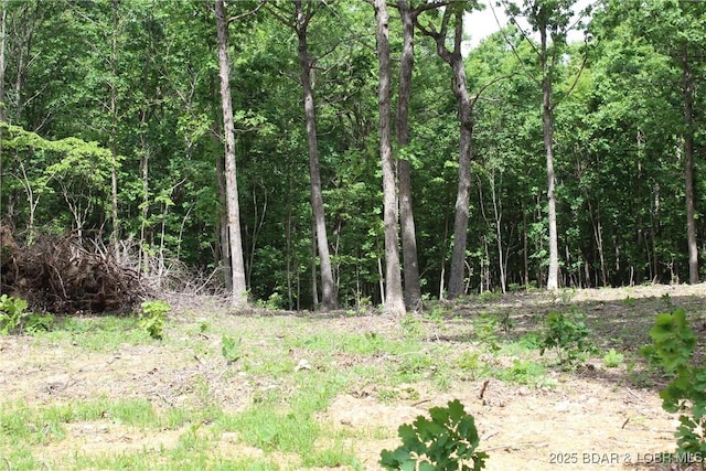 Whitetail Dream Ln, Montreal, MO 65591