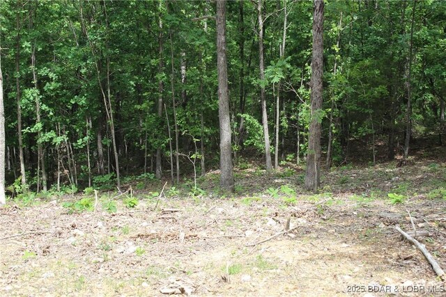 Whitetail Dream Ln, Montreal, MO 65591