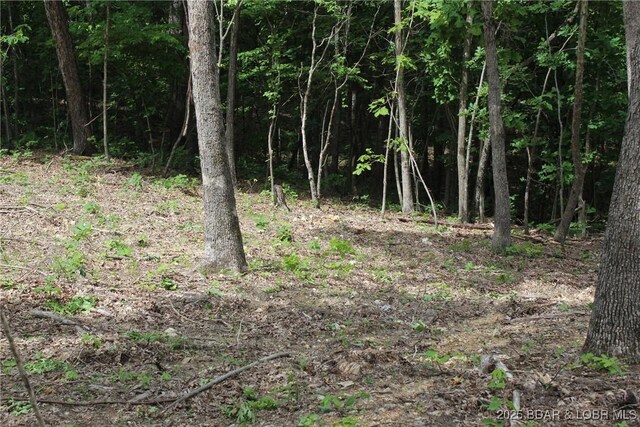 Whitetail Dream Ln, Montreal, MO 65591
