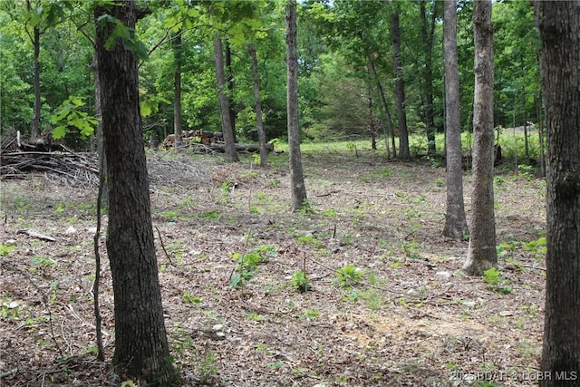 Whitetail Dream Ln, Montreal, MO 65591