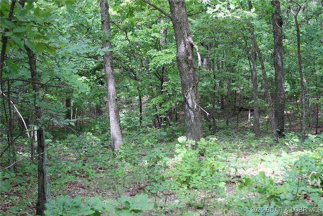Whitetail Dream Ln, Montreal, MO 65591