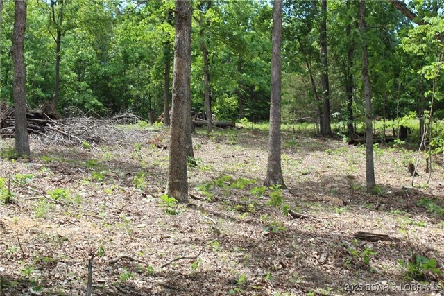 Whitetail Dream Ln, Montreal, MO 65591