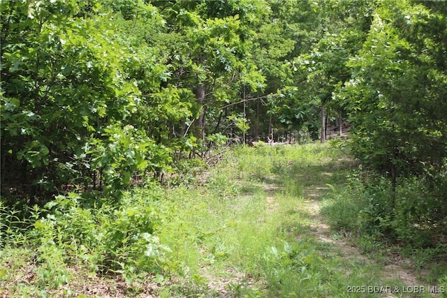 Whitetail Dream Ln, Montreal, MO 65591