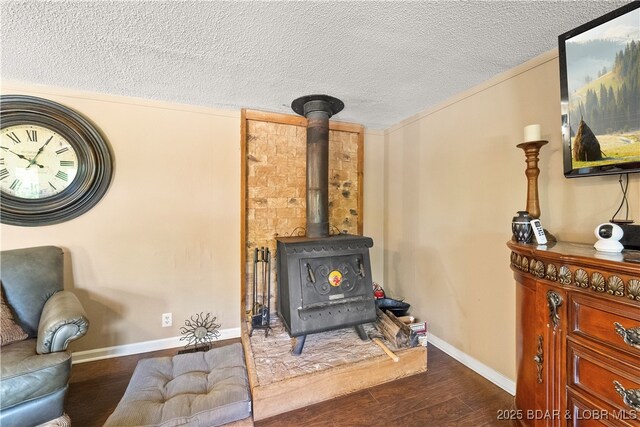 66 Old Shawnee Bend Rd, Sunrise Beach, MO 65079 - detailed view of a wood stove, wood finished floors, a textured ceiling, and baseboards