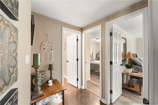 66 Old Shawnee Bend Rd, Sunrise Beach, MO 65079 - corridor featuring wood finished floors, a textured ceiling, and ornamental molding