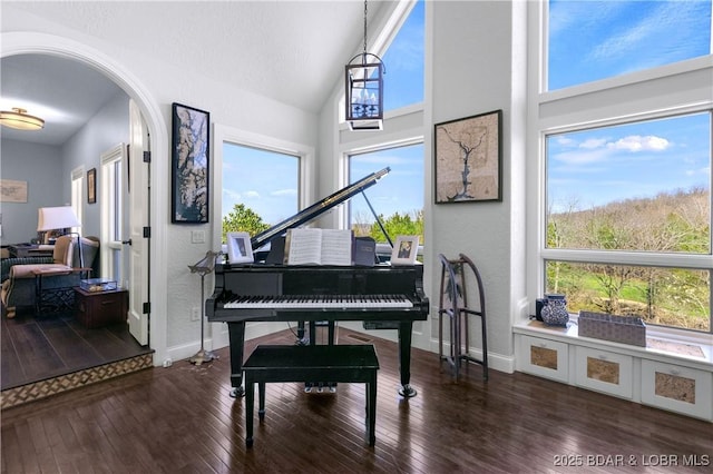 126 W Cross Fox Trl, Camdenton, MO 65020 - living area featuring hardwood / wood-style floors, arched walkways, a textured wall, and high vaulted ceiling