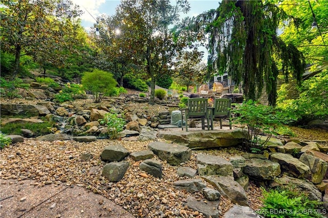 126 W Cross Fox Trl, Camdenton, MO 65020 - view of yard