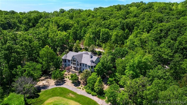 126 W Cross Fox Trl, Camdenton, MO 65020 - view of subject property featuring a heavily wooded area
