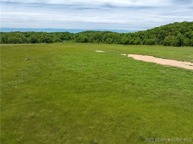 Weber Farm Rd, Montreal, MO 65591