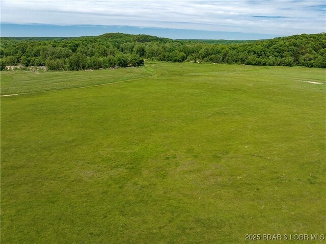 Weber Farm Rd, Montreal, MO 65591