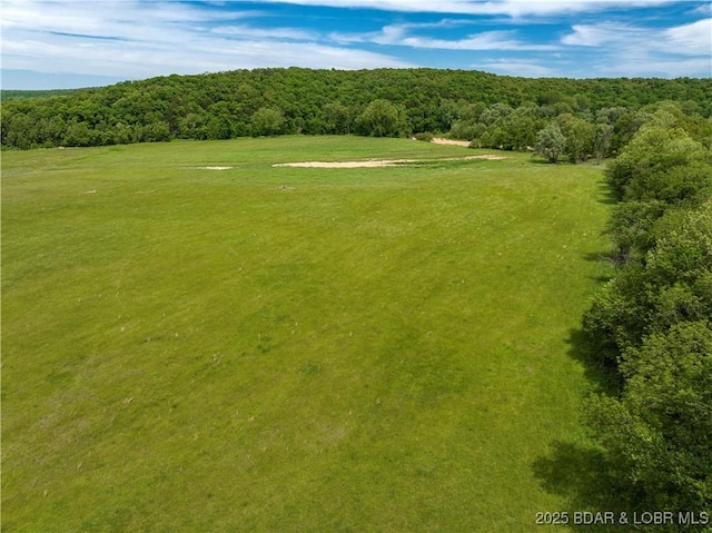 Weber Farm Rd, Montreal, MO 65591