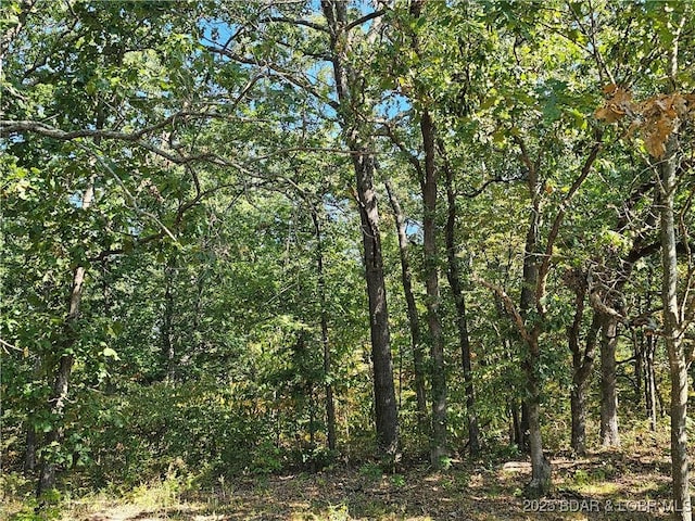 TRACTD Beechnut Rd, Stover, MO 65078