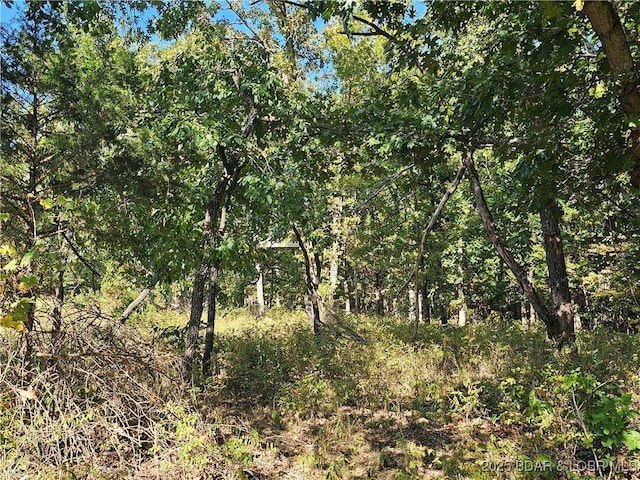 TRACTD Beechnut Rd, Stover, MO 65078