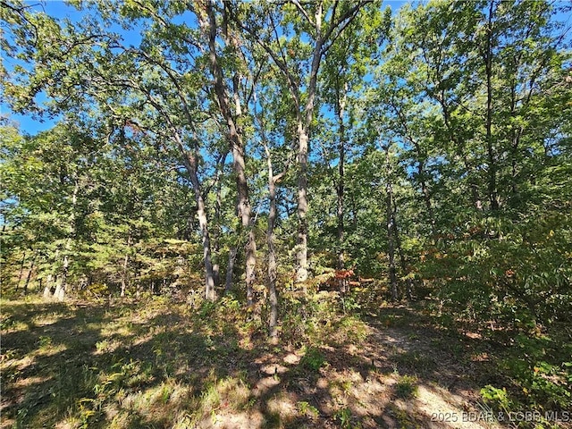 TRACTD Beechnut Rd, Stover, MO 65078