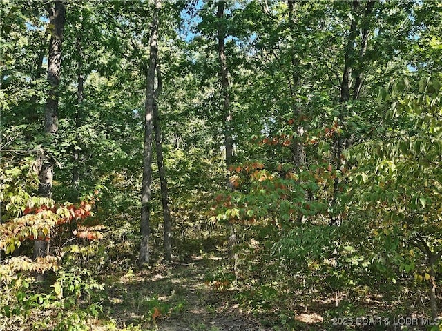 TRACTD Beechnut Rd, Stover, MO 65078