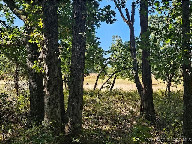 TRACTD Beechnut Rd, Stover, MO 65078