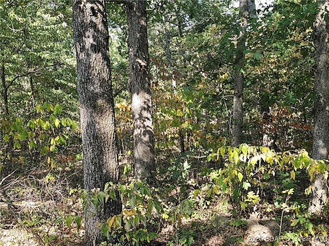 TRACTD Beechnut Rd, Stover, MO 65078