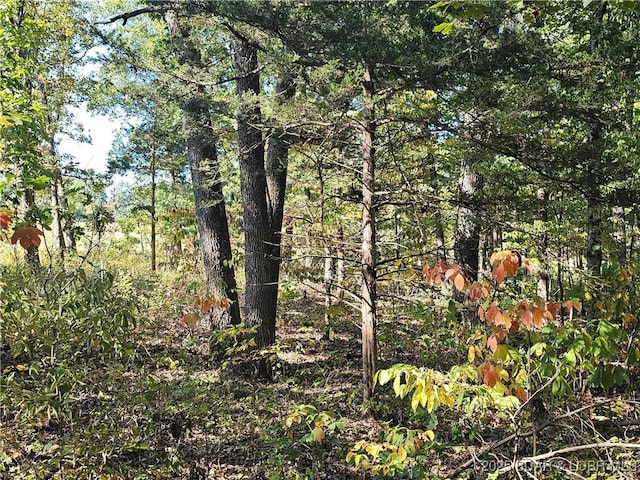 TRACTD Beechnut Rd, Stover, MO 65078