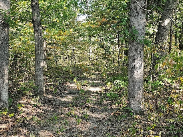 TRACTD Beechnut Rd, Stover, MO 65078