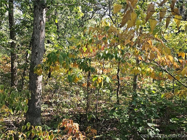 TRACTD Beechnut Rd, Stover, MO 65078