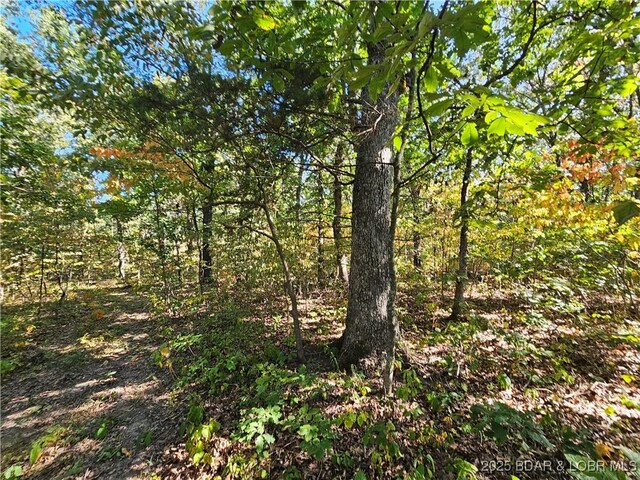 TRACTD Beechnut Rd, Stover, MO 65078