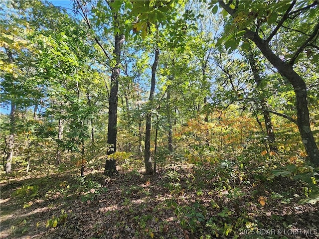 TRACTD Beechnut Rd, Stover, MO 65078