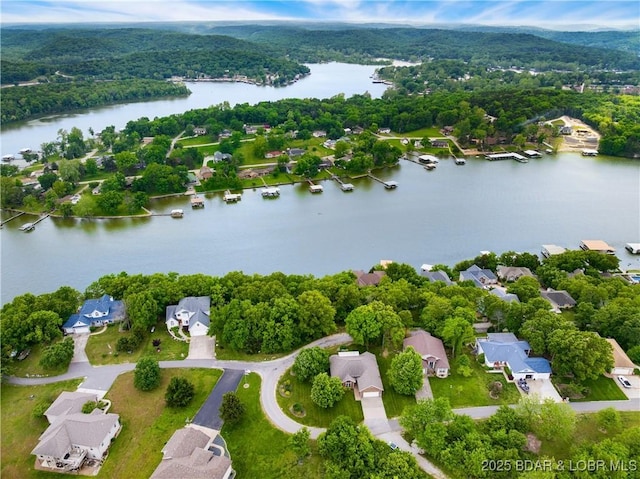 aerial perspective of suburban area with a nearby body of water and a forest