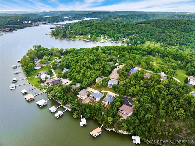 drone / aerial view of a large body of water and a heavily wooded area