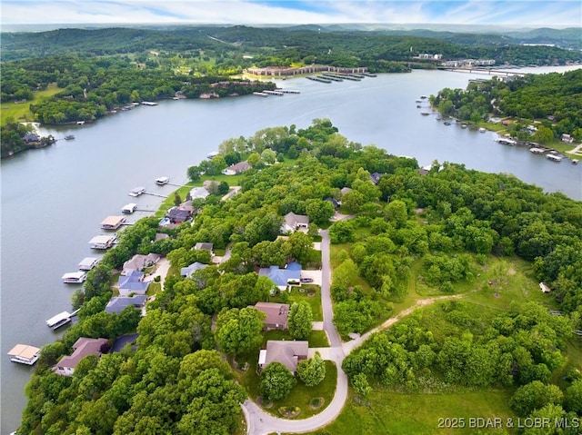 aerial view of a nearby body of water and a forest