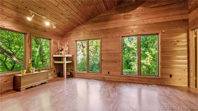 5 Hallie Ln, Kaiser, MO 65047 - unfurnished sunroom featuring lofted ceiling and track lighting