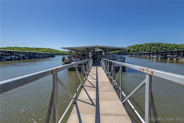 601 Park Place Dr Unit 2B, Kaiser, MO 65047 - dock with a water view