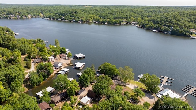 15219 Fleener Dr, Gravois Mills, MO 65037 - bird's eye view of a heavily wooded area and a nearby body of water