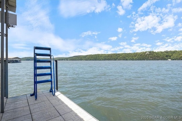 241 Shell Bay Cir Unit 1A, Linn Creek, MO 65052 - dock with a water view