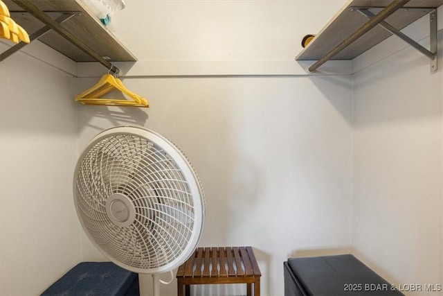 241 Shell Bay Cir Unit 1A, Linn Creek, MO 65052 - view of walk in closet