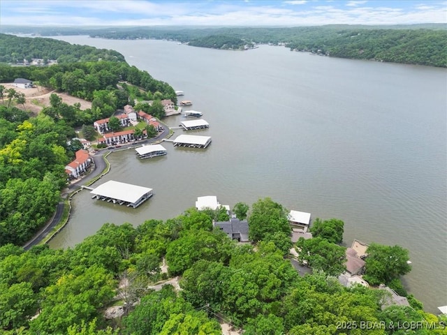 241 Shell Bay Cir Unit 1A, Linn Creek, MO 65052 - bird's eye view of a large body of water and a forest