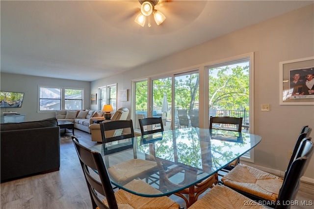 dining area featuring wood finished floors and ceiling fan
