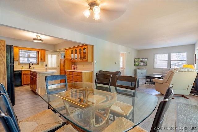 dining area featuring ceiling fan, light wood finished floors, and plenty of natural light
