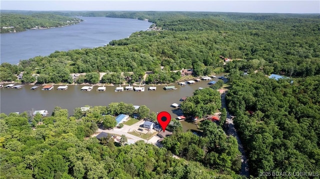 view of property location with a heavily wooded area and a large body of water