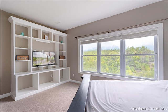 205 Wedge Wood Dr, Camdenton, MO 65020 - carpeted bedroom featuring baseboards