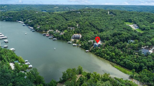 205 Wedge Wood Dr, Camdenton, MO 65020 - drone / aerial view of a forest and a large body of water