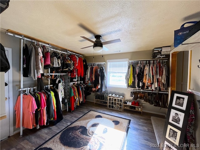 312 Charger Dr, Macks Creek, MO 65786 - spacious closet with a ceiling fan and wood finished floors