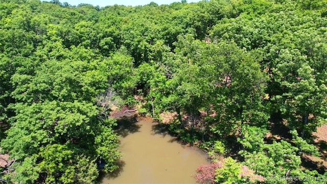 LOT114 Blue Water Bay Dr, Sunrise Beach, MO 65079 - photo 1