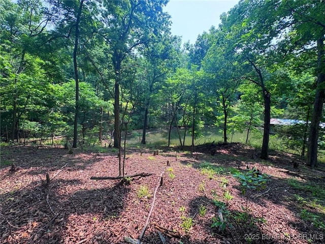 LOT114 Blue Water Bay Dr, Sunrise Beach, MO 65079 - photo 3